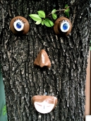 A so called 'tree face'